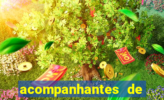 acompanhantes de luxo eventos